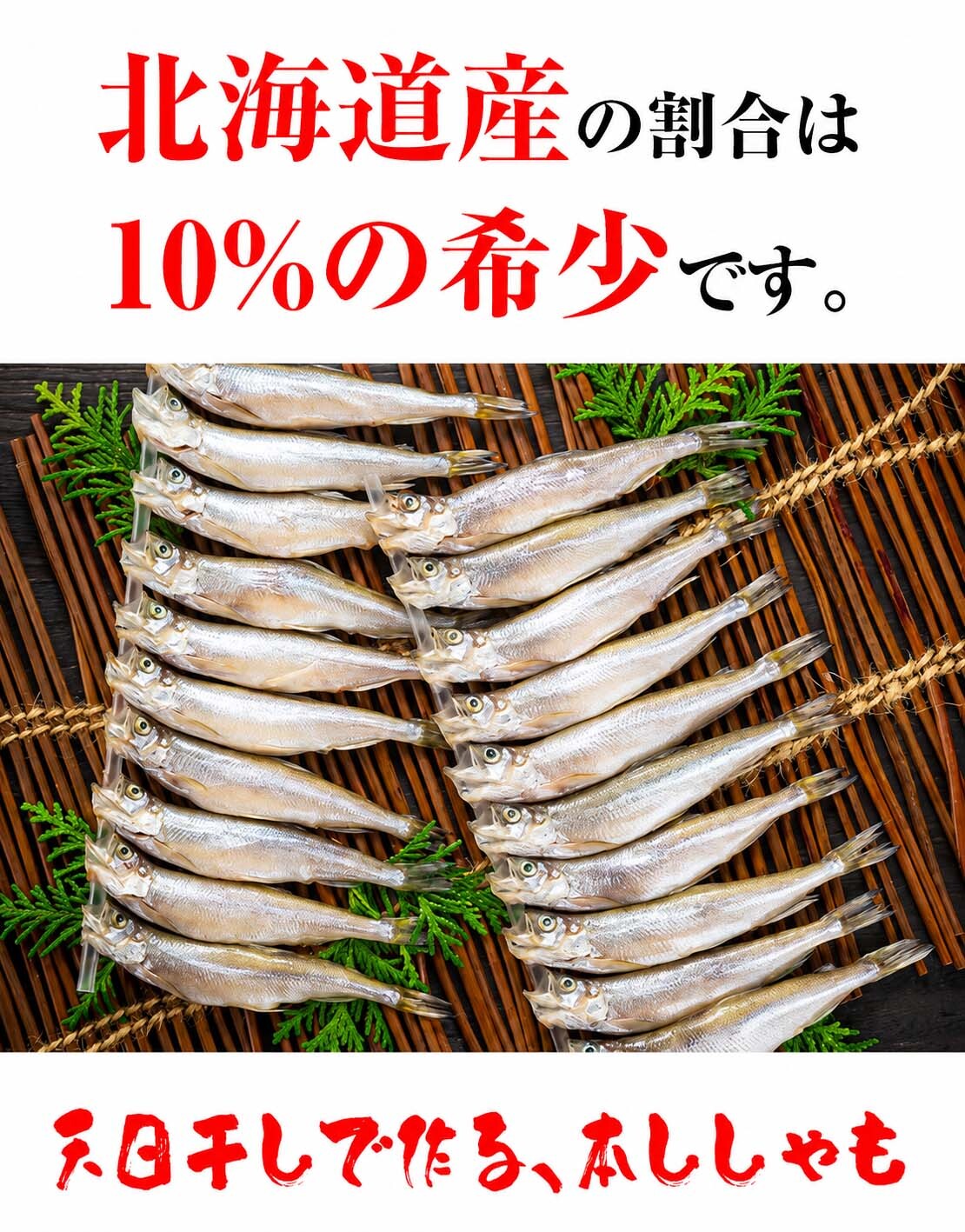 子持ち 本シシャモ　30尾入り　（中サイズ）　北海道鵡川・広尾・厚賀・釧路産 ししゃも 脂のりも良く、ご飯のおかずに最適 干物 柳葉魚 干し魚 ぷちぷち卵の食感も味わえます 焼き魚
