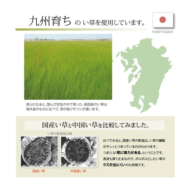 枕 まくら い草枕 消臭 ピロー 国産 無地 ベビー キッズ 『さわやか 平枕』 約30×20cm お子様にも安心 国産い草枕 さわやか平枕 抗菌 防臭 ポリエステル 綿 枕寝具 寝具用品 寝室用 寝室用品 インテリア 綿100% 肌触り 柔らか 吸湿
