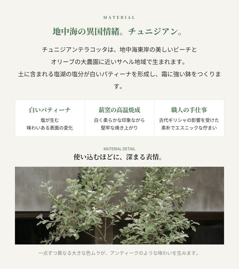 植木鉢 おしゃれ 大型 テラコッタ 白 ホワイト 素焼き 地中海 アンティーク調 アンフォラ 壺 KONTON コントン チュニジアン トールアンフォラ TN-102X L M 約13号 10号 底穴あり 屋外 テラス 庭 玄関 オリーブ ヤシ 観葉植物 シンボルツリー 取っ手付き 大型プランター