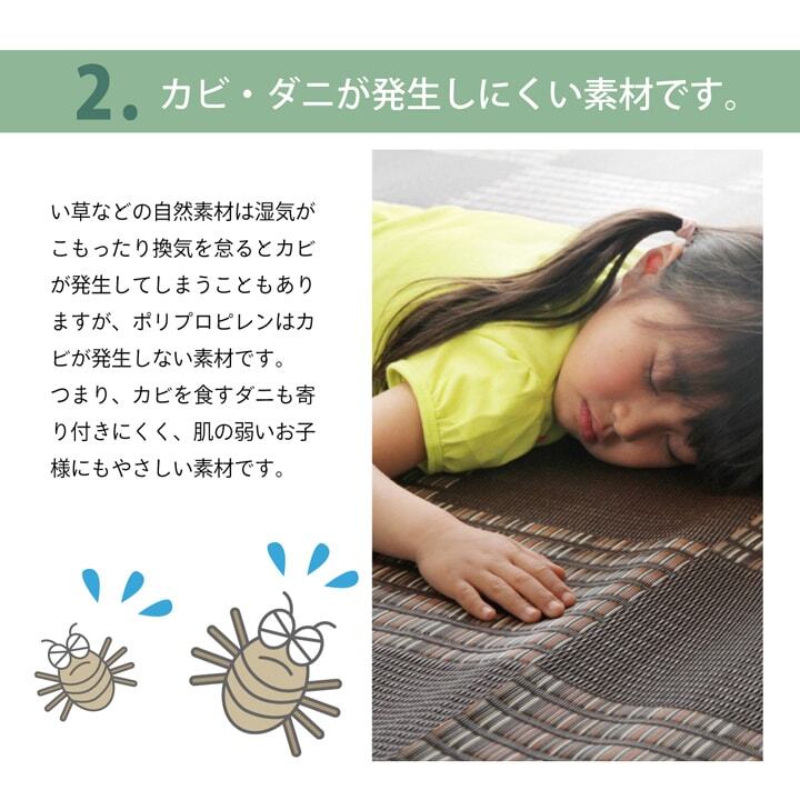ラグ カーペット PP 『Fウィード』 江戸間2畳（約174×174cm）
