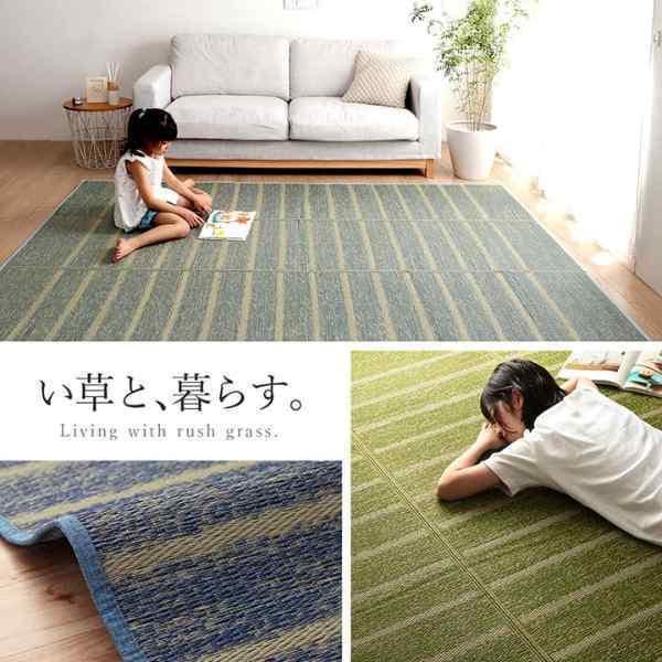 ラグ 長方形 い草 自然素材 シンプル ボーダー 裏面すべり止め付き 滑りにくい 抗菌防臭 約6畳 約240×320cm