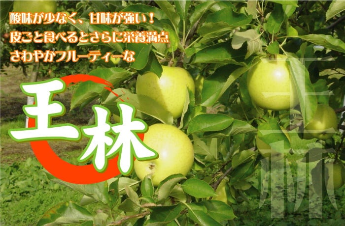 【11月中旬頃発送】一華ベジフル 青森 りんご 王林 (おうりん) 家庭用 3C箱(8～12個入) 一華ベジフル 青森 お土産 青森県産 果物 フルーツ 訳あり ランキング ギフト リンゴ 林檎 アップル 送料無料 お歳暮 2026