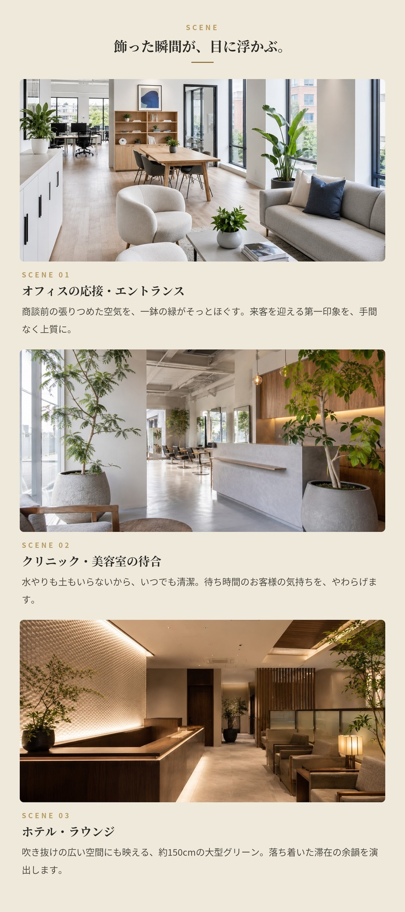 観葉植物 造花 カシワバゴム BROWN 全高約150cm 大型 ゴムの木 フェイクグリーン 本物そっくり おしゃれ インテリア 人工観葉植物 アーティフィシャルグリーン オフィス 店舗 ホテル 開店祝い 室内 フィドルリーフ フェイク