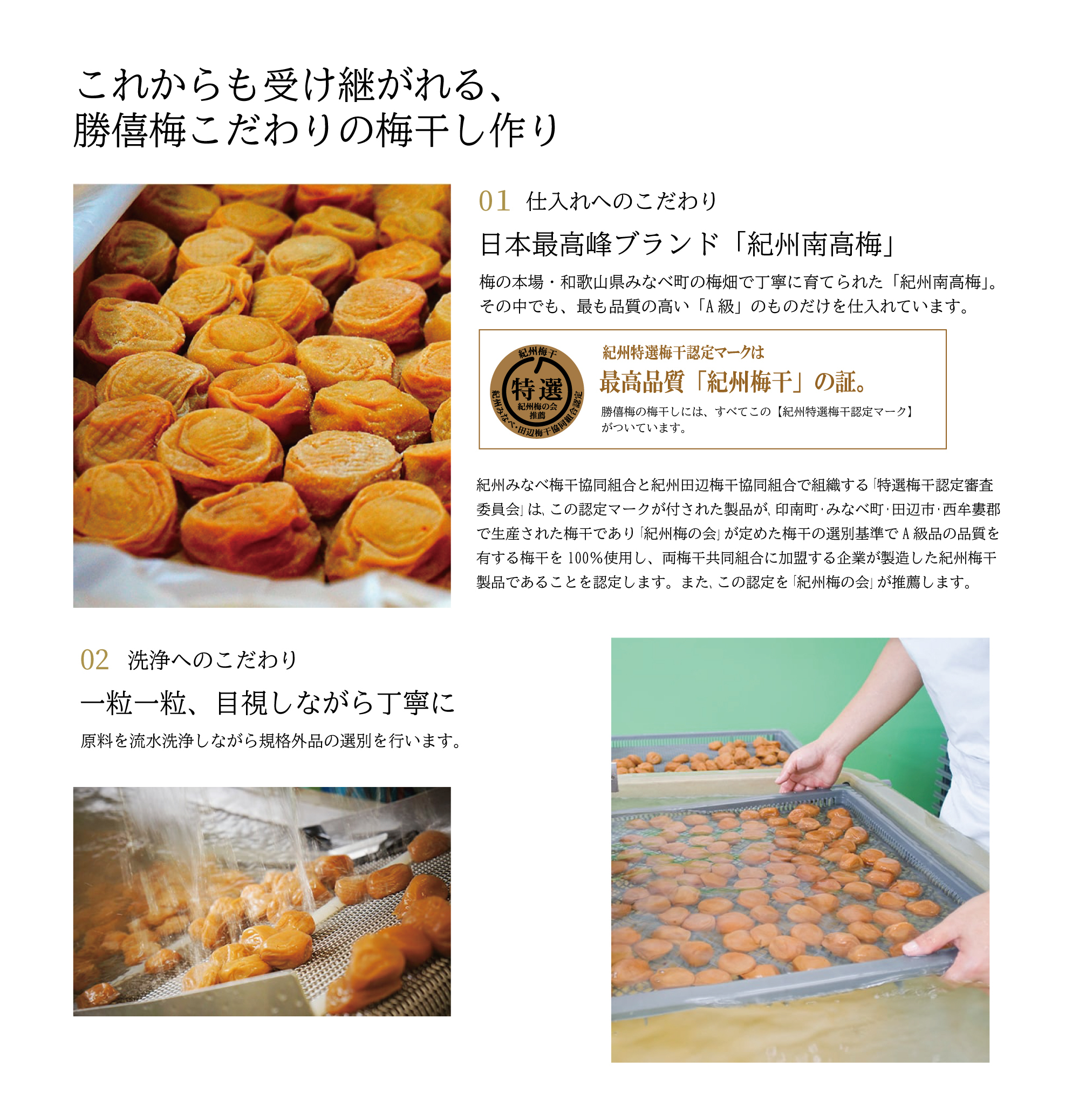 【送料無料】極6包・贅沢茶漬けセット2000 梅干 お茶漬け お買い得  紀州南高梅 みなべ A級品 ギフト お中元 お歳暮 内祝 御祝 御供 敬老 セット 詰合せ  個包装 