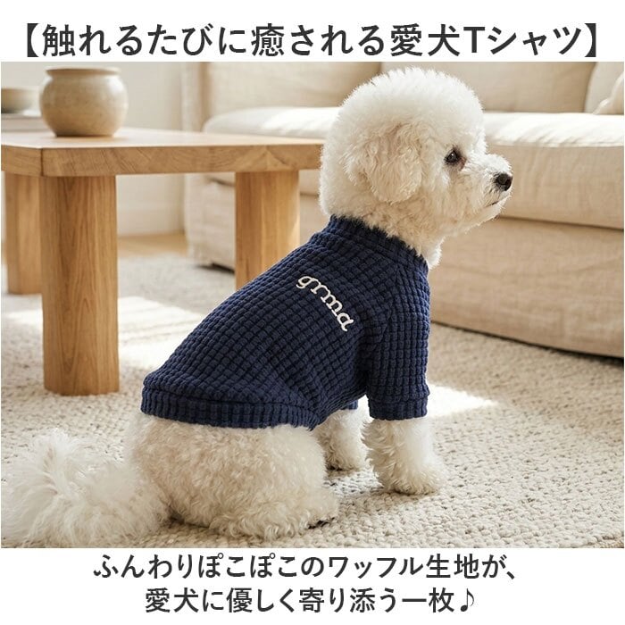 犬服 無地 tシャツ 通販 犬 服 ドッグウェア 犬の服 ペット服 ペットウェア ドッグウエア Tシャツ ペットウエアー 春 夏 秋 冬 お出かけ お出掛け お散歩 ペット用品 かわいい 可愛い おしゃれ オシャレ カジュアル