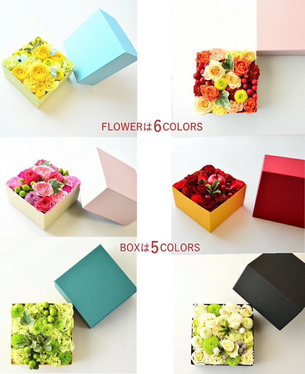 【ＡＲＮＯＸ】ＢＯＸフラワー　送料無料 即日発送 御祝いに生花のBOXフラワー 生花 敬老の日 フラワー ギフト 誕生日 結婚祝い お見舞 送別 新築祝い フラワーケーキ BOXフラワー BOXアレンジ ウエディング 御祝い 卒業 入学 出産 お供え 敬老の日 お中元 お歳暮