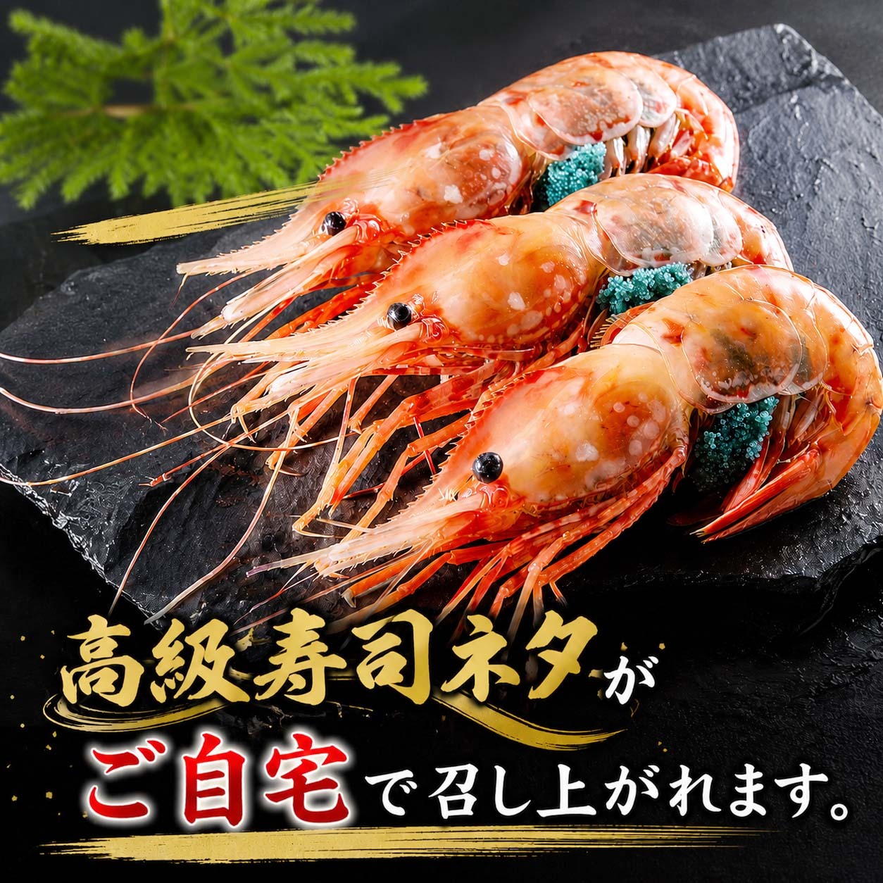 特大 子持ち ボタンエビ　2Lサイズ　1ｋｇ（14～18尾入）　ぼたんえび 特大サイ ズ 卵入り 海老味噌も絶品 お刺身用 お寿司用 ぼたん海老