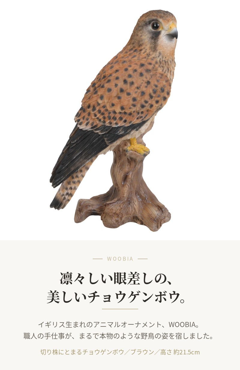 置物 鳥 チョウゲンボウ 高さ21.5cm woobia ウービア 野鳥 リアル おしゃれ 玄関 インテリア オブジェ ガーデン 北欧 ナチュラル 猛禽 動物 アニマル 癒し 鳥好き 出窓 棚 玄関飾り プレゼント ギフト バードウォッチング