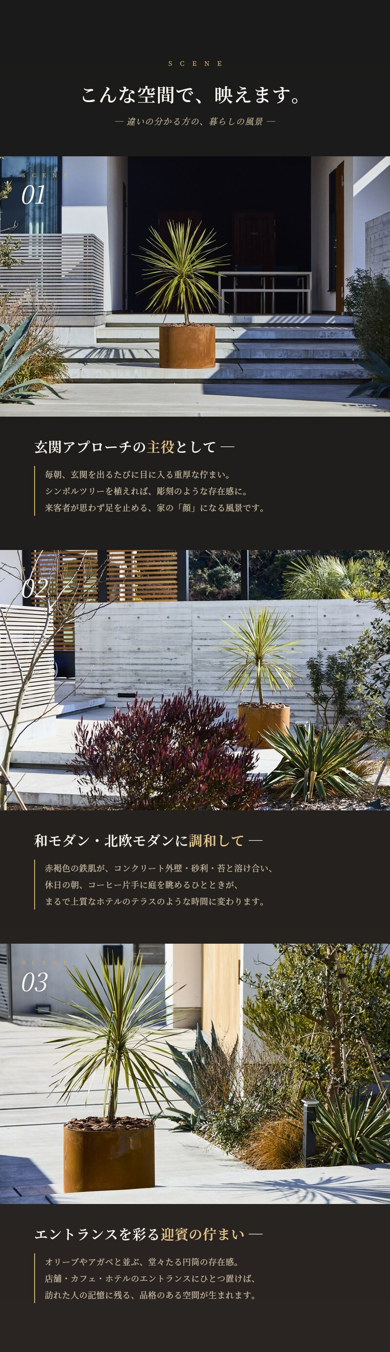 コールテン鋼 高級植木鉢 おしゃれ 大型 直径60cm 丸型 アンティーク 経年美 Patina レイズド・ラウンドプランター600 底なし A-PLUS 屋外 観葉植物 多肉植物 寄せ植え 花 鉢カバー 北欧 モダン ガーデニング 玄関 庭 パティナ