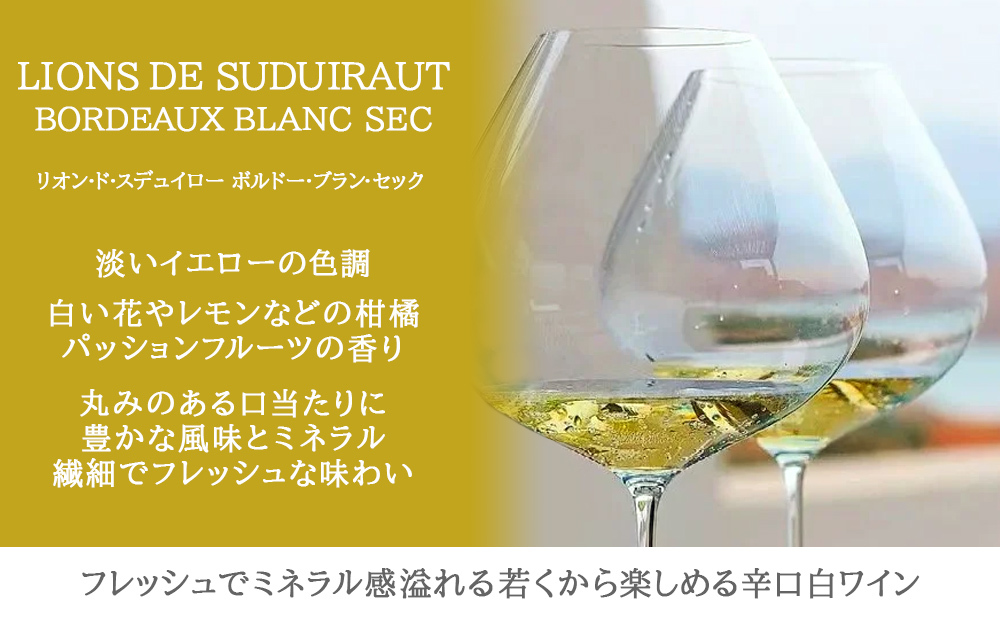 秋ギフトワイン 飲み比べセット フランス ボルドー 赤ワイン 白ワイン 辛口 750ml 赤白セット クリュ・ブルジョワ 熨斗包装 ギフト箱付 お祝い 会社 上司 送料無料