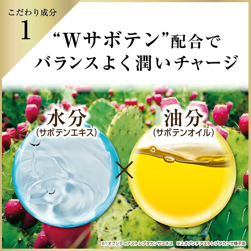 【メール便配送】北斗晶 [ nopa ゴールデンオイルミスト ] ノパ 50ml 美容液ミスト スプレー サボテンエキス サボテンオイル サボテンコスメ 乾燥 潤い ハリ ツヤ 保湿 スキンケア コンパクト エイジングケア 40代 50代 60代 70代 美容 母の日 誕生日 クリスマス プレゼント 敬老の日