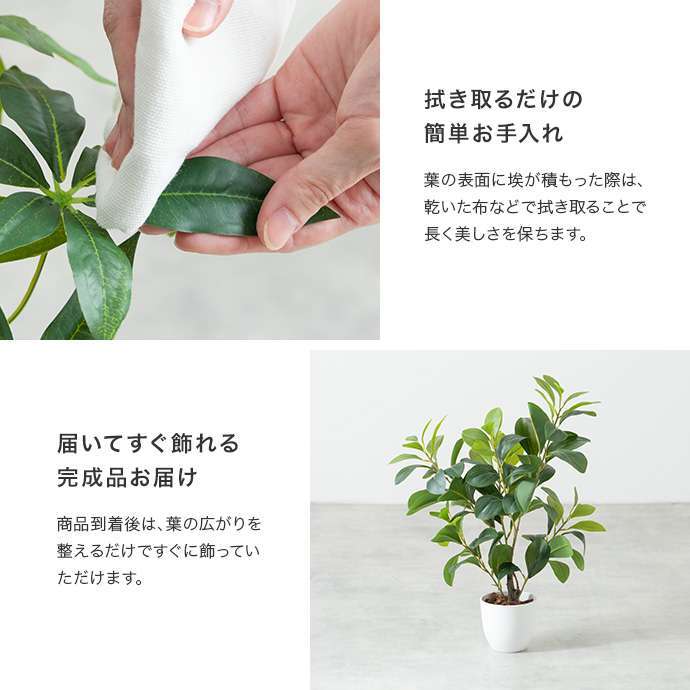 【高さ55cm】光触媒人工観葉植物 パキラ 幅35cm×奥行35cm×高さ55cm コンパクト 天然木 お部屋に気軽に飾れて空間を美しく彩るフェイクグリーン 本物の植物のようなリアルな質感とインテリアに馴染む風合いが魅力です
