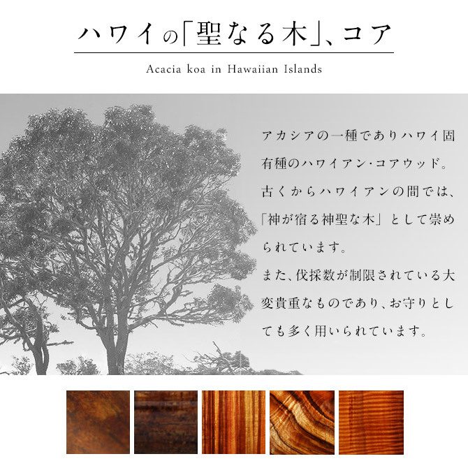 ハワイアンジュエリー シルバー ネックレス 刻印無料 シルバー925 コアウッド マイレリーフ 葉 ラッピング チェーン 長さ 選べる aumakua 夏 サマー 【品番：CG-046-61-01】