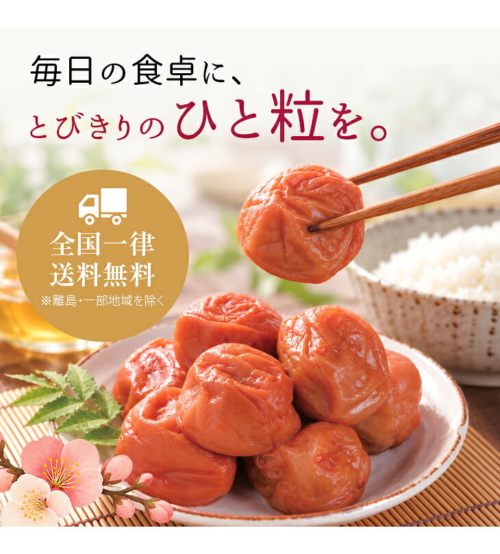 梅干し 紀州南高梅 つぶれ梅 3.4kg 850g×4パック 塩分約3% 減塩 しそ漬け 和歌山県産 赤しそ 紫蘇漬け 大粒 訳あり 紀州 超特大容量 まとめ買い 果肉たっぷり ギフト