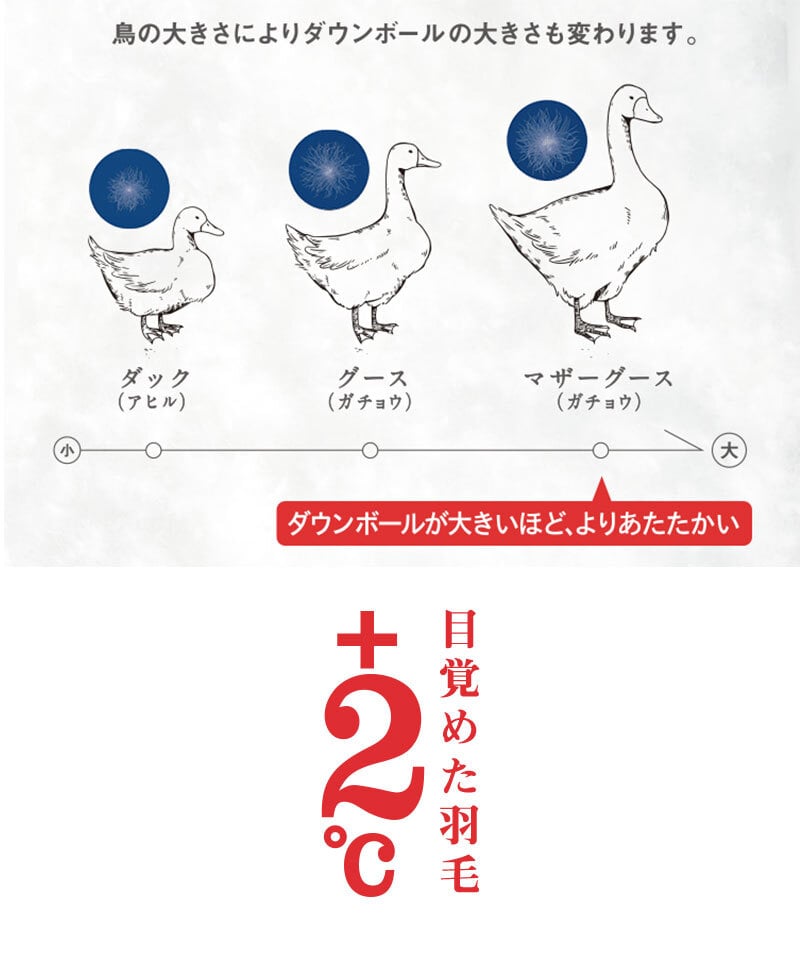 掛け布団 グレーグース かけ布団 羽毛布団 掛布団 ダブル 西川 羽毛掛け布団 羽毛ふとん ダブル布団 羽毛ぶとん ダウン 90% 1.7kg 西川羽毛ふとん グース シングルサイズ ロング 掛け布団 布団 掛けふとん フレッシュパック 日本製 秋冬