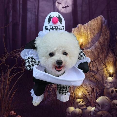 ペット コスプレ 衣装 ピエロ 着ぐるみ 犬用 立体 変身ウェア ホラー 面白い かわいい 仮装 なりきり 写真撮影 パーティー ハロウィン 小型犬 中型犬 ギフト