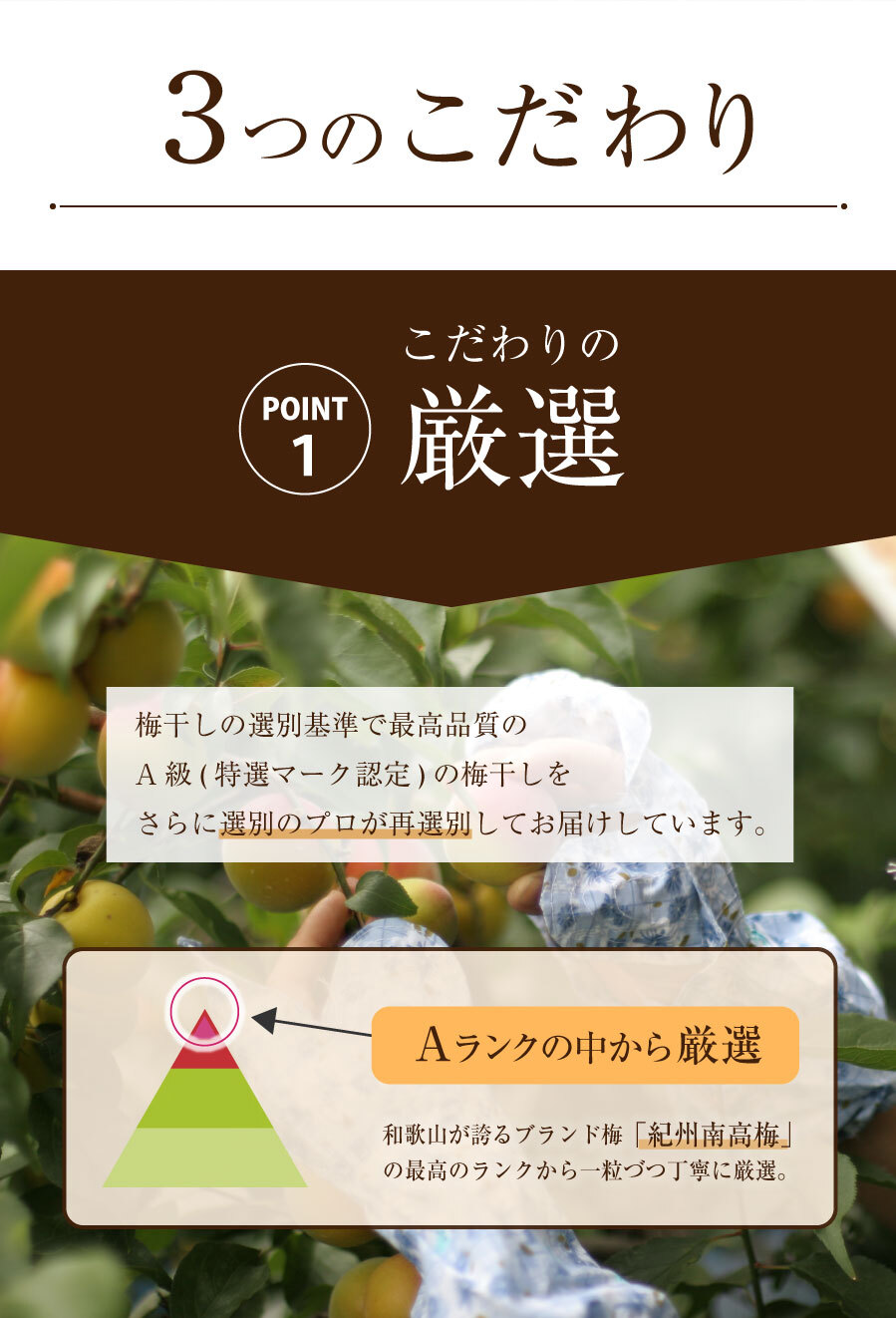 【特選紀州南高梅】【あまみつ梅250g×2パック（塩分約5％）】【紀州産】【調味梅干】減塩のはちみつ梅干し つけもの 梅干し ギフト プレゼント 内祝