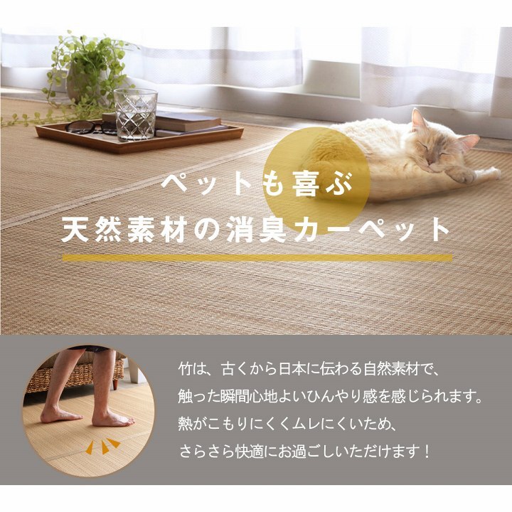 ラグ カーペット 竹 裏地付き 天然素材 丈夫 抗菌防臭 消臭 お手入れ お掃除 簡単 楽 約87×174cm