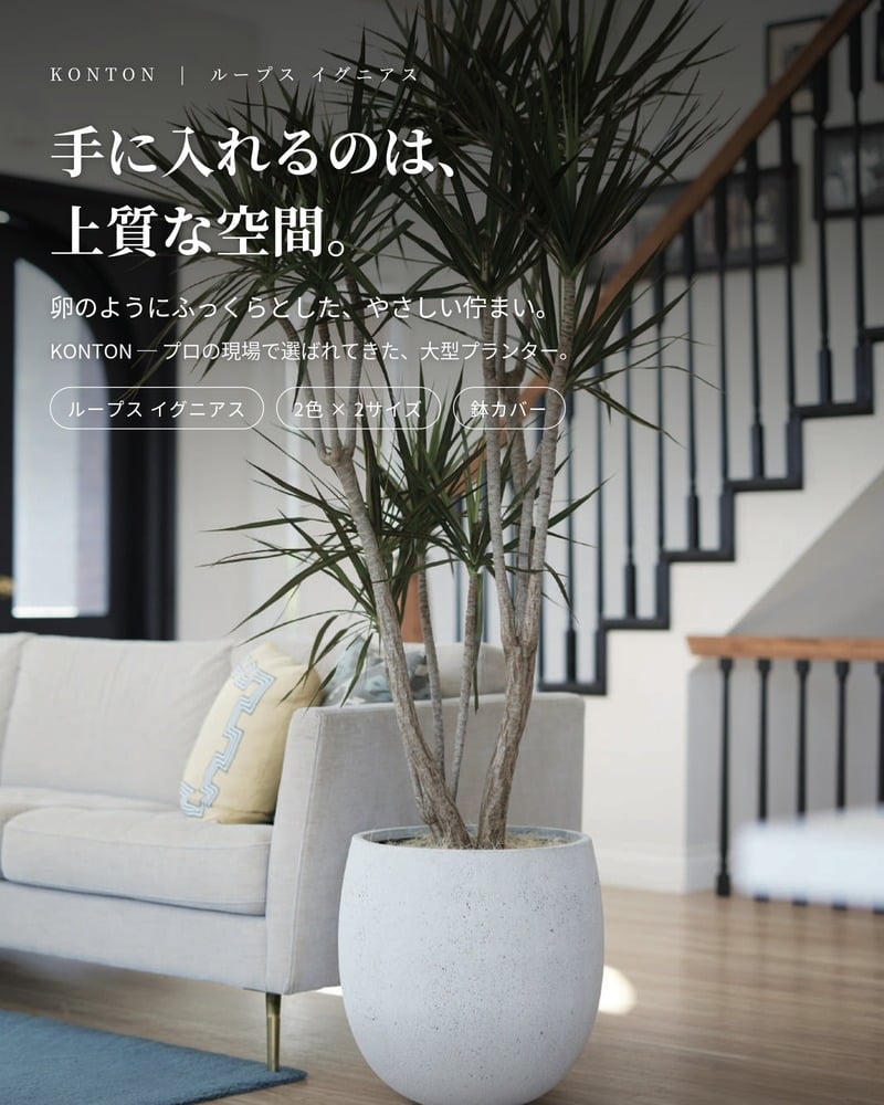 鉢カバー おしゃれ 大型 15号 11号 M S サイズ 植木鉢 KONTON コントン ループス イグニアス 丸型 ラウンド ファイバーストーン 軽量 室内 屋内 高級 北欧 モダン ナチュラル 観葉植物用 サボテン 多肉植物 特大 玄関 プランター 底穴なし オフホワイト チャコール