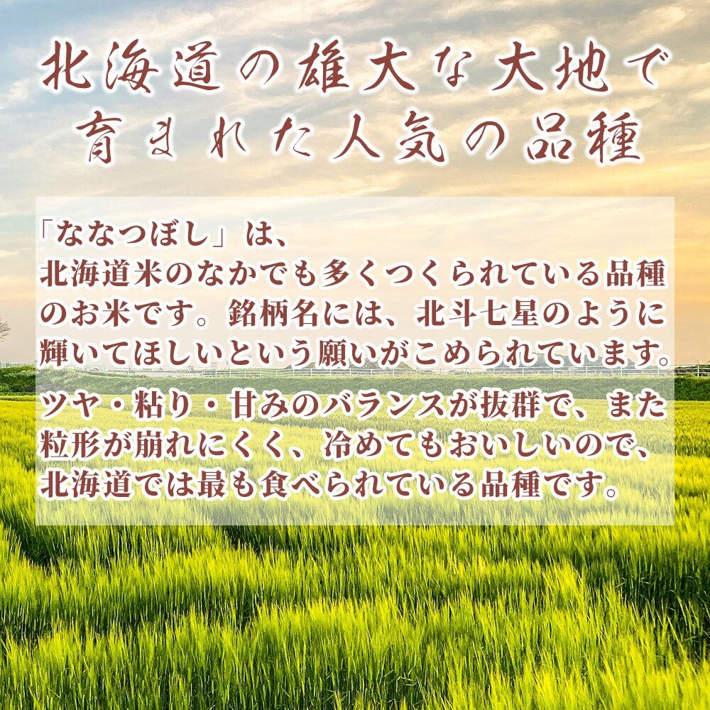 北海道産 ななつぼし【白米/無洗米と内容量が選べる10kg~30kg】雑穀米本舗  北海道産 選べる 白米 無洗米 令和8年産 単一原料米 送料無料 精米工場からの直送品