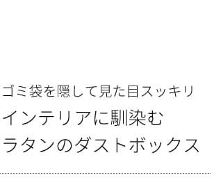 ゴミ箱 ダストボックス ラタン調 袋が見えない 隠す 洗える 15L Diario ディアリオ おしゃれ 宮武製作所 オシャレ 小型 軽量 軽い アジアンテイスト キッチン リビング 寝室 コンパクト スリム かわいい 半円 半楕円形 人工ラタン