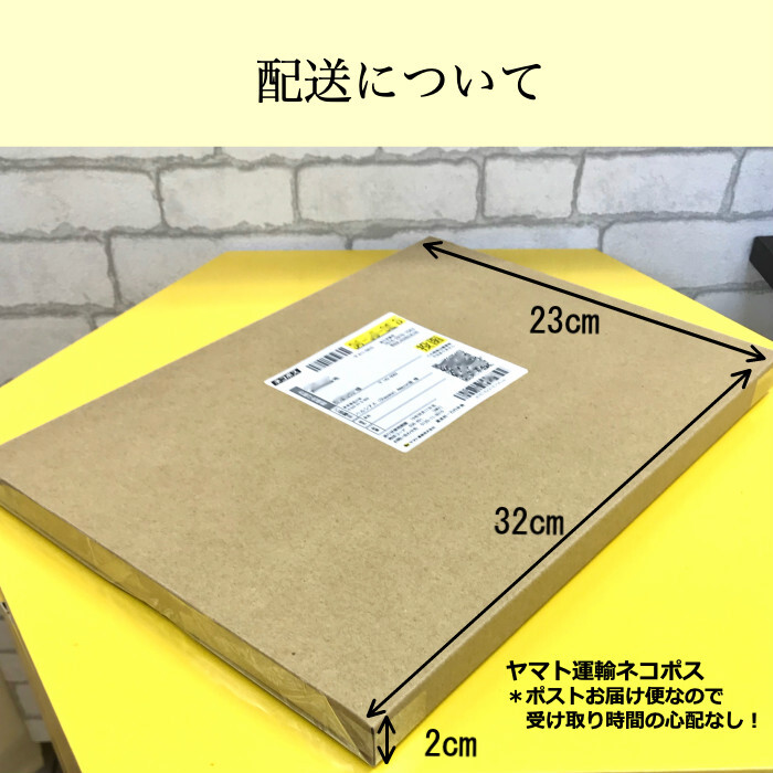 ＼新発売／フリーズドライ なつめチップス 月乃果（TSUKINOKA）20g 無農薬・無化学肥料 ノンシュガー ノンフライ 無添加 厳選なつめ 日本加工