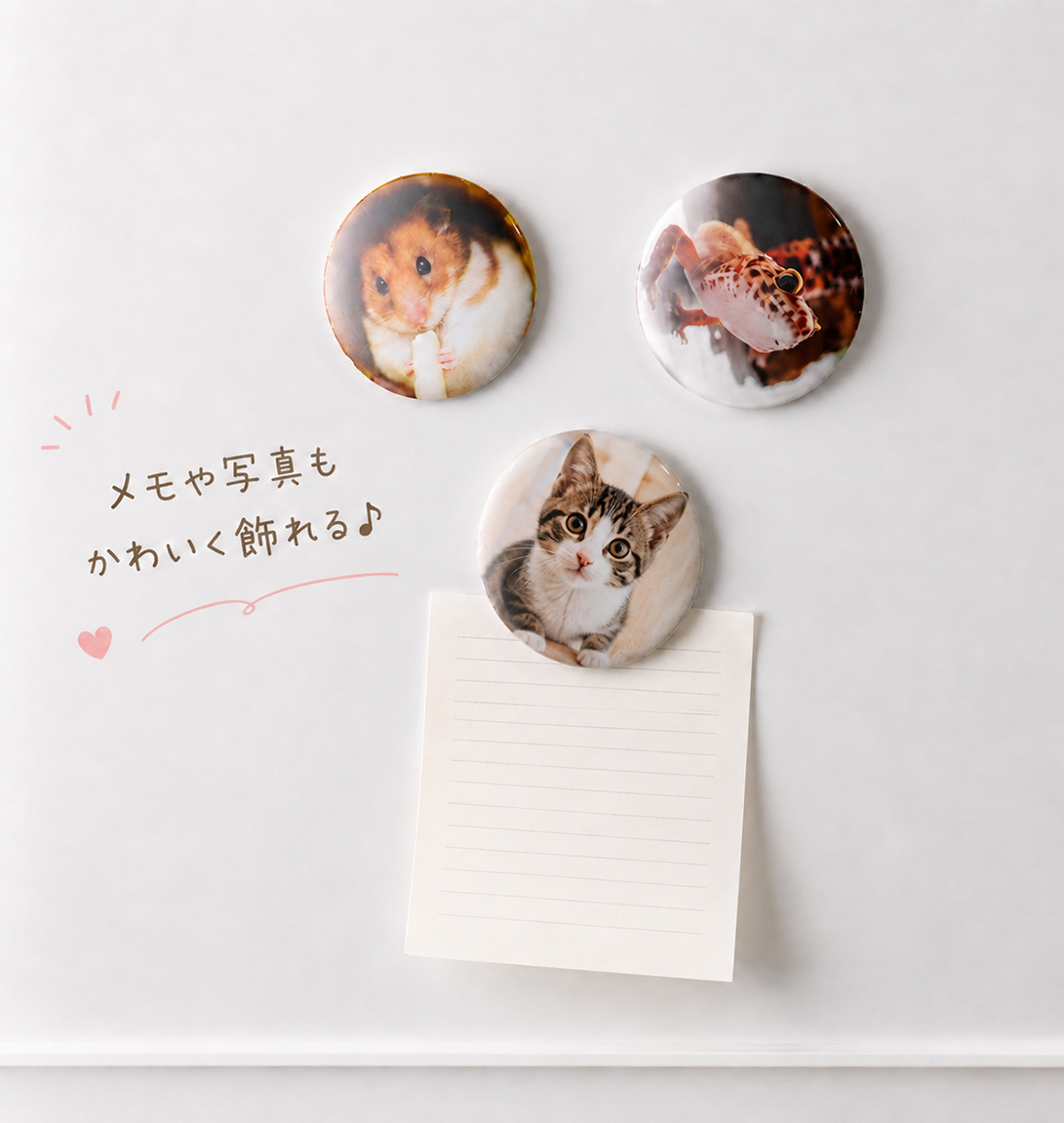 ペット 写真入り マグネット 56mm｜うちの子 オリジナル グッズ【送料無料】