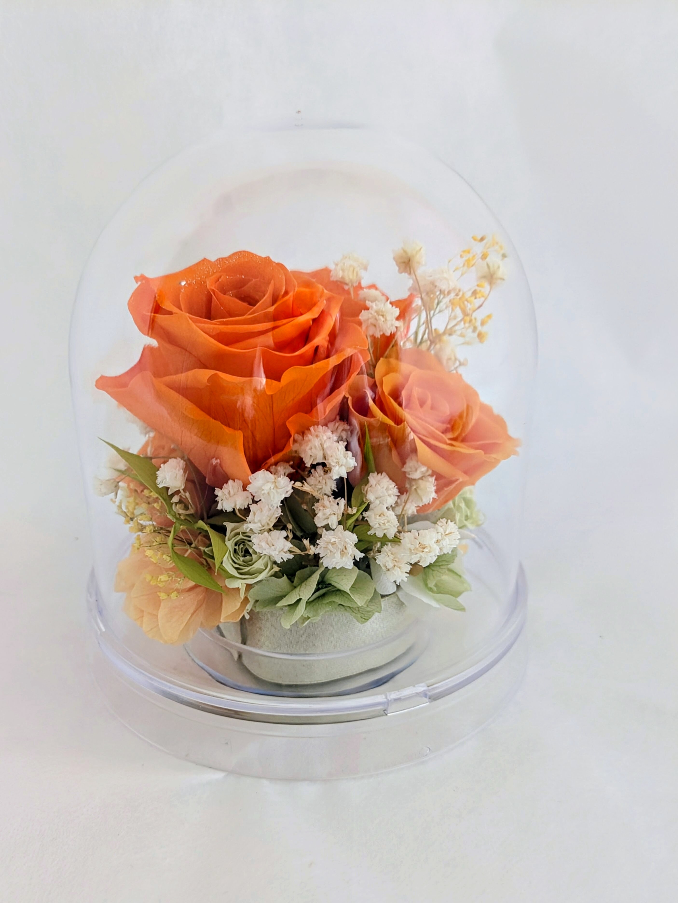 プリザーブドフラワー／オレンジの大輪の薔薇と小花のクリアドームギフト