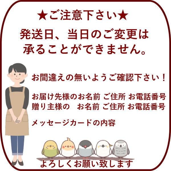 即日発送 色を選んでおまかせ花束（ブーケ）Ｍサイズ 生花 ラウンドタイプ オシャレに華やかに【送料無料】生花 花束（ブーケ）ラウンドタイプ 誕生日 お祝い 表彰 送別 退職 結婚祝い ウエディング 両親贈呈 おまかせ フラワーギフト おしゃれ かわいい まるい きれい母の日 敬老の日 お中元 お歳暮
