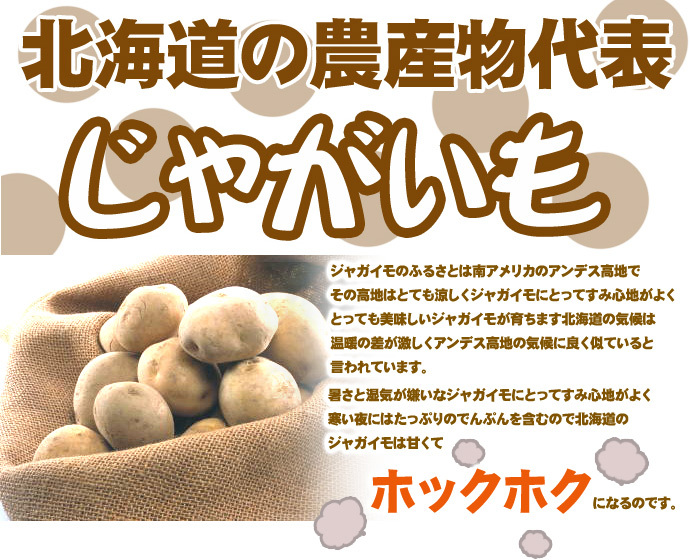 じゃがいも 訳あり北海道 じゃがいも 男爵いも S-Mサイズ 9.5-10kg前後 送料無料 ※沖縄は送料別途加算