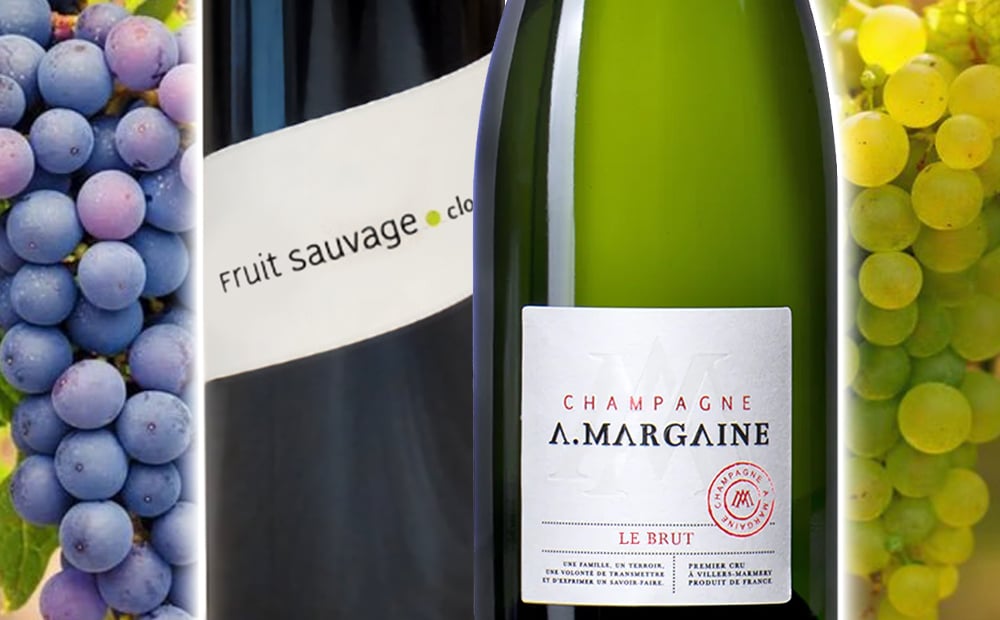 お歳暮 お酒 ワインとシャンパン 2本セット フランス ローヌ オーガニック ビオ BIO 赤ワイン 500ml パーカーポイント高得点 シャンパーニュ泡 辛口 375ml ハーフボトル 誕生日 内祝い お返し 家族 友人 熨斗可 ギフト箱付 送料無料