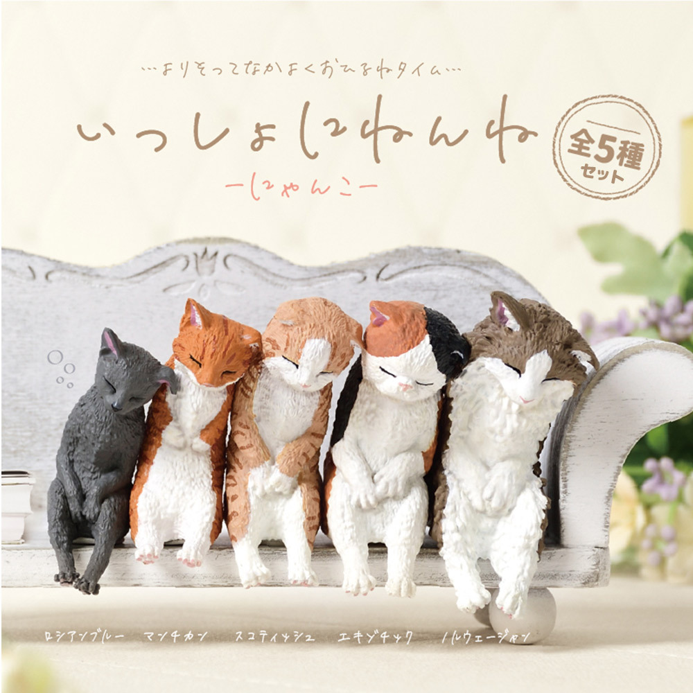 【5種類セット】 ガチャ ガチャガチャ コンプリート 中身 フィギュア おもちゃ かわいい [ いっしょにねんね にゃんこ ] 猫 ネコ ロシアンブルー マンチカン スコティッシュ エキゾチック ノルウェージャン
