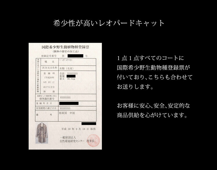レオパード キャット コート 毛皮 テーラーカラー ベルト 付き 着丈90cm レディース ナチュラル ギフト プレゼント 7F (01000865r)