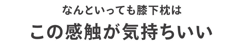 王様の膝下枕 Mサイズ(標準サイズ)｜ひざを乗せた瞬間から気持ちいい♪ 「ananカラダに良いモノ大賞」準グランプリ  < ひざ下枕 膝下枕 足枕 脚枕 足まくら クッション フットレスト リラックスグッズ 母の日 父の日 敬老の日 クリスマス バレンタイン 誕生日 プレゼント ギフト 彼女 妻 奥さん 女友達 母 祖母 おばあちゃん 彼氏 夫 旦那 男友達 男性 父 祖父 おじいちゃん >