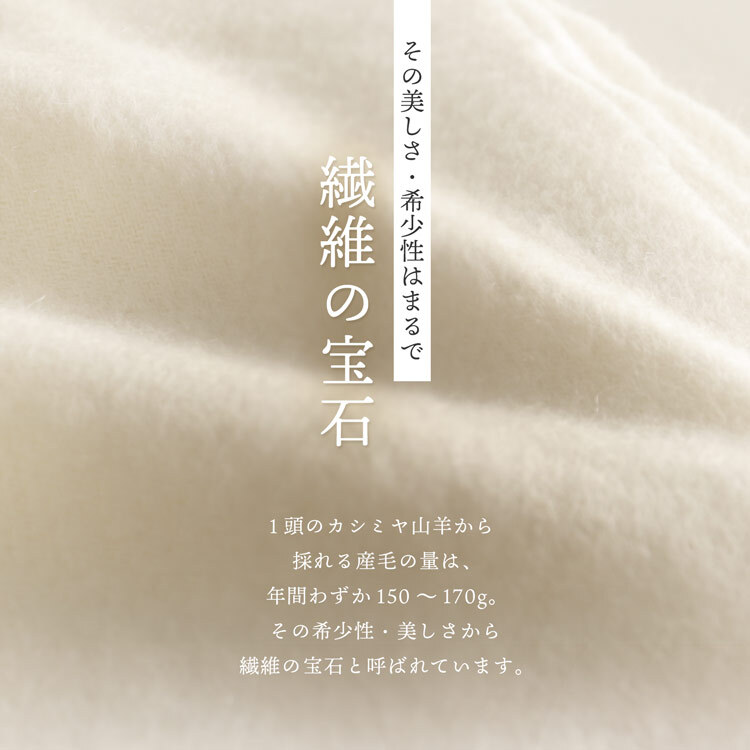 カシミヤ100％ ストール 大判サイズ レディース 【200cm×60cm】【名入れ刺繍可能】カシミヤストール 大判ストール  羽織 手洗い可能 秋冬 防寒 無地 柔らか 暖か ショール マフラー プレゼント ギフト 高級 贈り物 大きめ 上品 7F (02000349r)