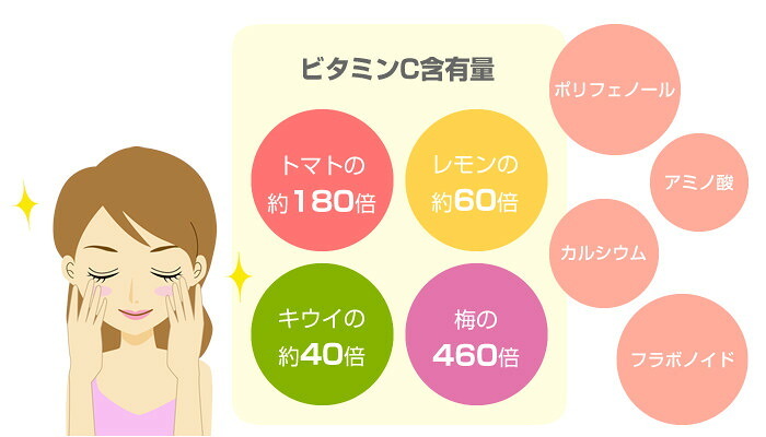 【無農薬】カムカムパウダー 40g×2袋セット ペルー産 粉末 ノンカフェイン ビタミンC ヨーグルト スムージー 苗 サプリ 健康茶 妊婦 ダイエット セット ギフト プレゼント プチギフト お茶 敬老の日 2026 内祝い お返し