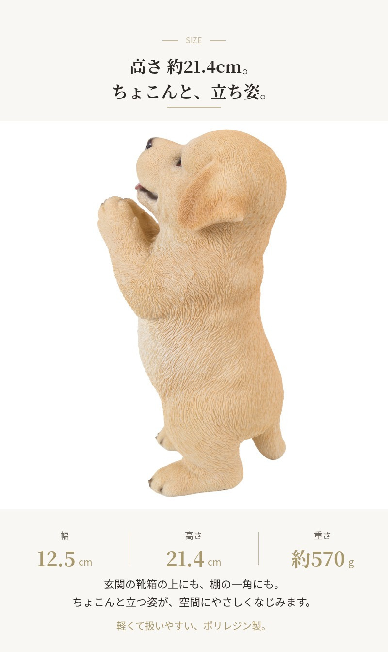 置物 犬 おねだりラブラドールレトリバー 高さ21.4cm woobia ウービア いぬ リアル かわいい おしゃれ 玄関 インテリア オブジェ ガーデン ラブラドール 動物 癒し 棚 北欧 プレゼント ギフト 新築祝い 犬好き