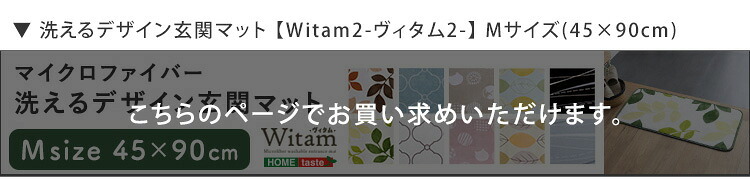 ラグ カーペット 洗えるデザイン玄関マット 45×90cm 【ヴィタム2-Witam2-】 新生活