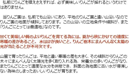 【11月中旬頃発送】蜜入りは１２月末まで 甘くておいしい！ フォーシーズン 青森りんご 葉とらずサンふじ　家庭用　5C箱(5kg箱)
