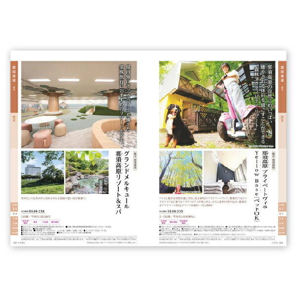 お返し・内祝いに！カタログギフト JTB選べるギフトたびもの撰華【50900円コース】橘（たちばな）(カタログギフト 出産祝い 出産内祝い 内祝い 結婚祝い 結婚内祝い 香典返し)