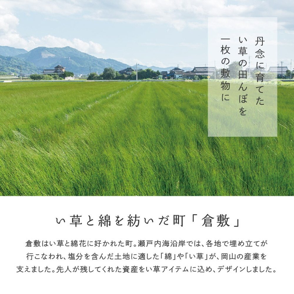 夏ラグ 夏用カーペット 国産い草カーペット せとのと 倉ノ戸 本間 2帖 2畳 柄上敷き 花ござ い草ラグ