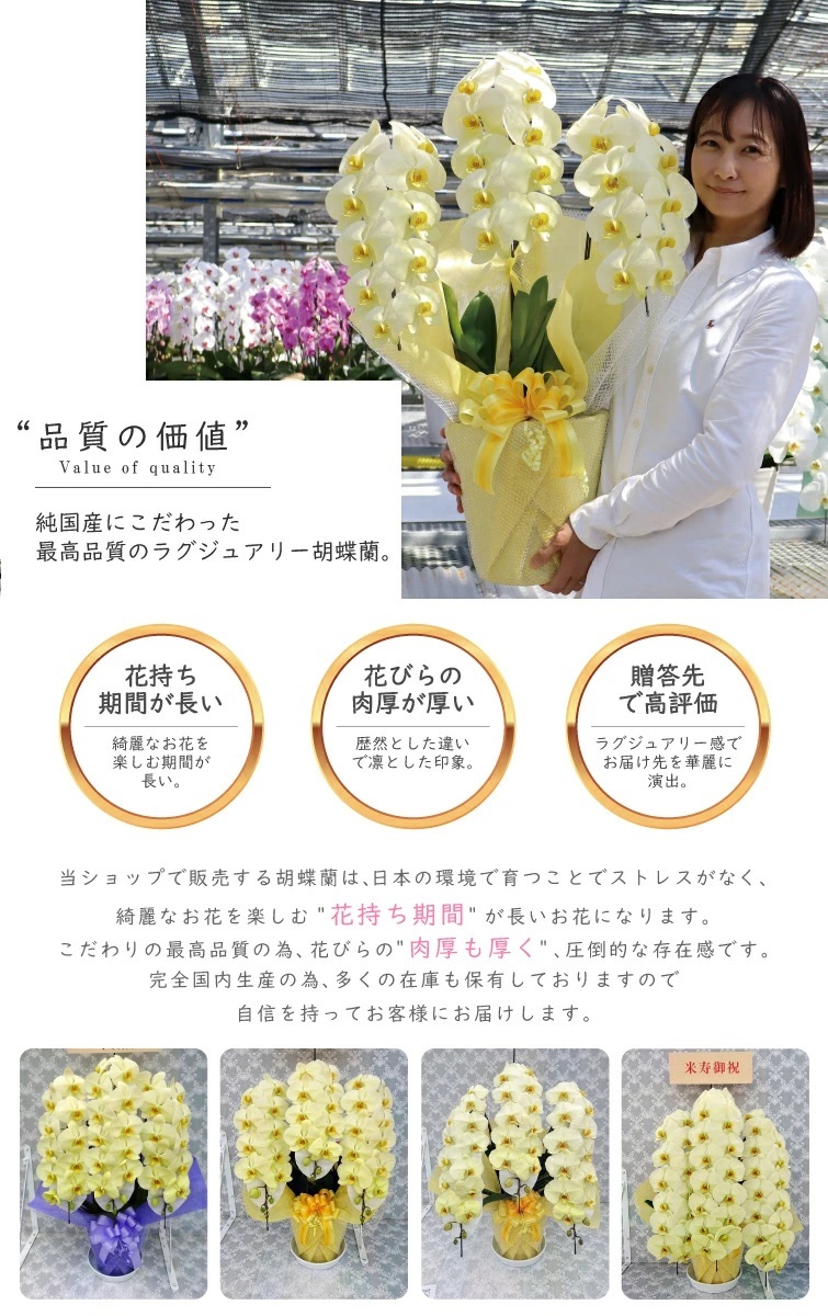 希少 純国産 胡蝶蘭 花持ち長い 大輪 3本立ち 33輪～ 23,800円【煌華(きらか)】 黄色 画像配信あり 産地直送 お祝い 母の日ギフト 縁起良い 商売繁盛 長寿祝 開店祝 開業祝 移転祝 就任祝 昇進祝 当選祝 当日発送 日本橋 銀座 王立園芸協会登録商品