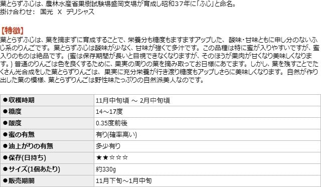 【11月中旬頃発送】蜜入りは１２月末まで 甘くておいしい！ フォーシーズン 青森りんご 葉とらずサンふじ　家庭用　5C箱(5kg箱)