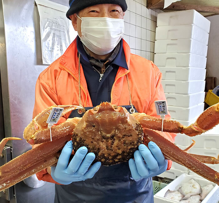 活〆 松葉がに 鍋セット 約2-3人前 [調理済み・専用だし付]  [送料無料] 特製つゆ 浜坂産 ズワイガニ カニ鍋 殻剥き済み 下処理済み 山陰直送 ギフト お歳暮 御祝 ※北海道、東北、沖縄は送料別途加算（A-650）
