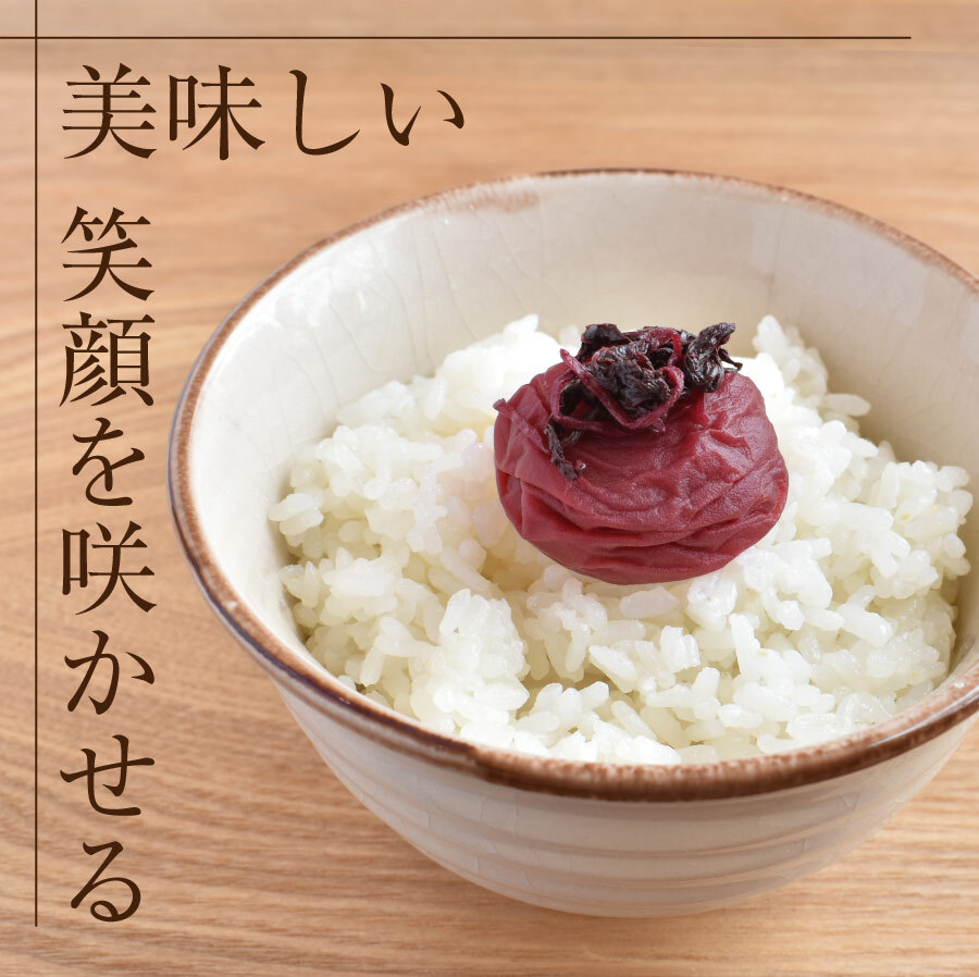 【特選紀州南高梅 】【しそ漬梅うす塩味250g×2パック（塩分約9％）】【紀州産】【調味梅干】食べやすい減塩のしそ漬梅干し つけもの 梅干し ギフト プレゼント 内祝