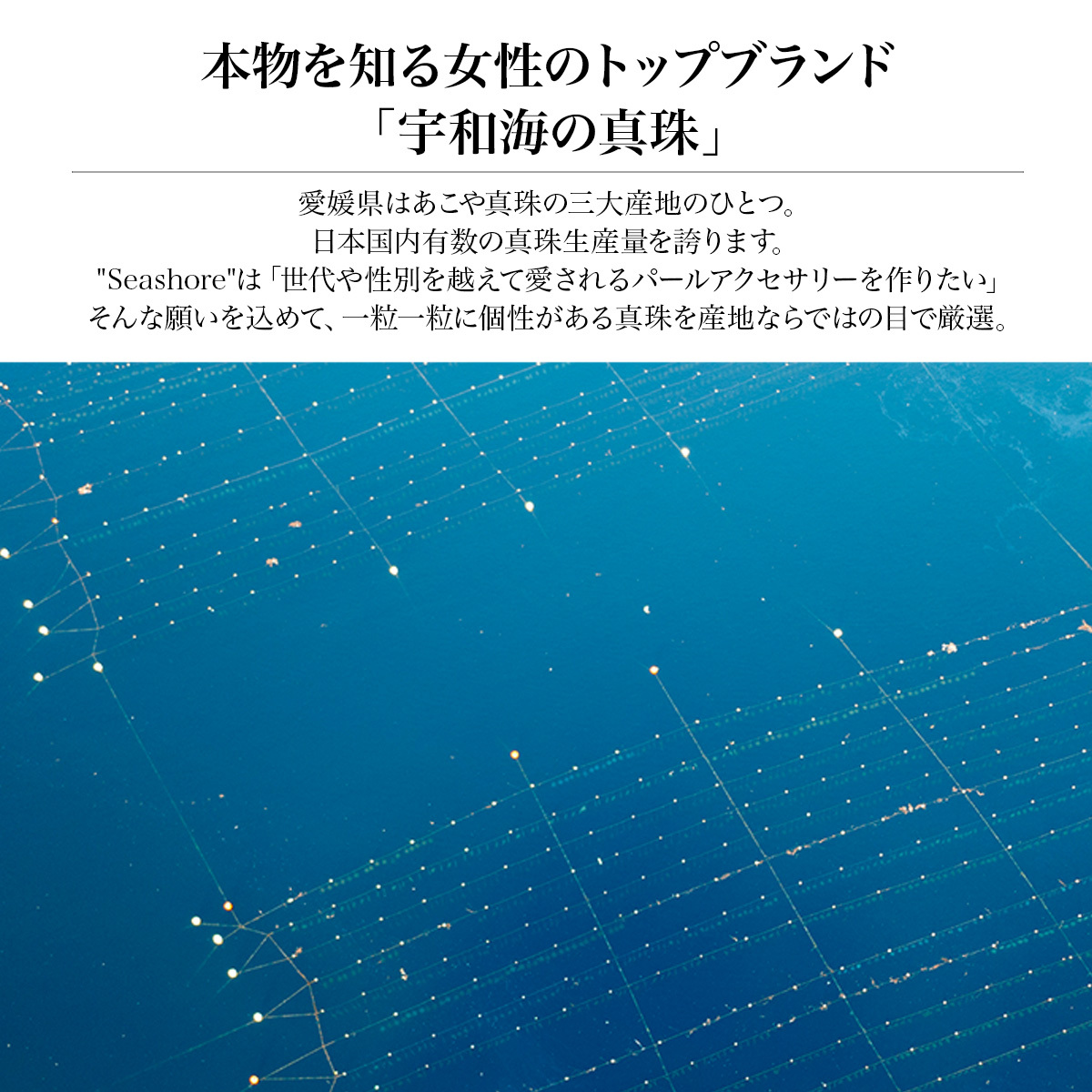 花珠認定真珠 ネックレス イヤリング セット 宇和島 あこや パール 8.0-8.5mm 冠婚葬祭 成人 結婚 フォーマル 記念日 誕生日 プレゼント 鑑定書【真珠婚式プレゼント】