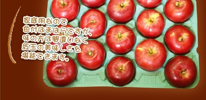 １０月下旬頃から発送開始　青森りんご 紅玉 こうぎょく ●家庭用10C箱(10kg箱:約36～50個入)