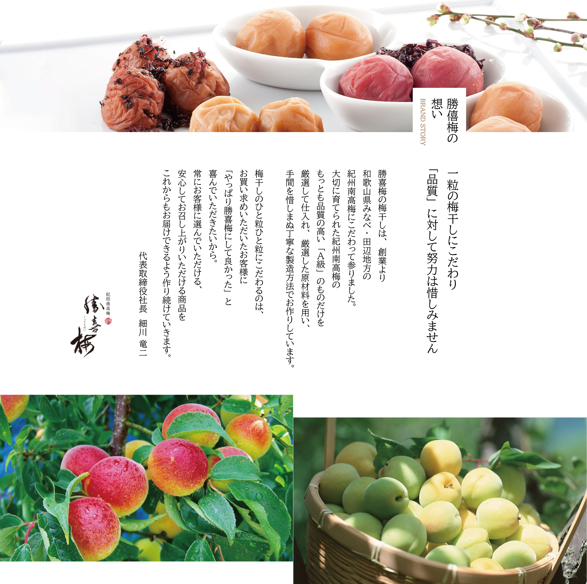 【送料無料】極6包・贅沢茶漬けセット2000 梅干 お茶漬け お買い得  紀州南高梅 みなべ A級品 ギフト お中元 お歳暮 内祝 御祝 御供 敬老 セット 詰合せ  個包装 