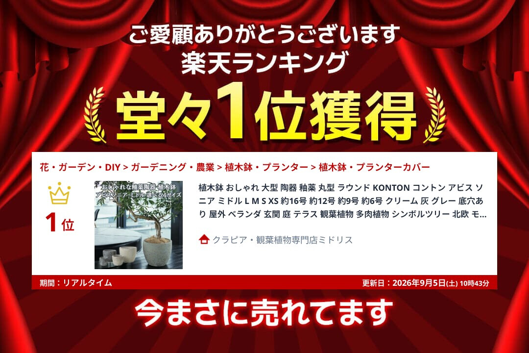 植木鉢 おしゃれ 大型 陶器 釉薬 丸型 ラウンド KONTON コントン アビス ソニア ミドル L M S XS 約16号 約12号 約9号 約6号 クリーム 灰 グレー 底穴あり 屋外 ベランダ 玄関 庭 テラス 観葉植物 多肉植物 シンボルツリー 北欧 モダン ナチュラル 大型プランター 寒冷地対応