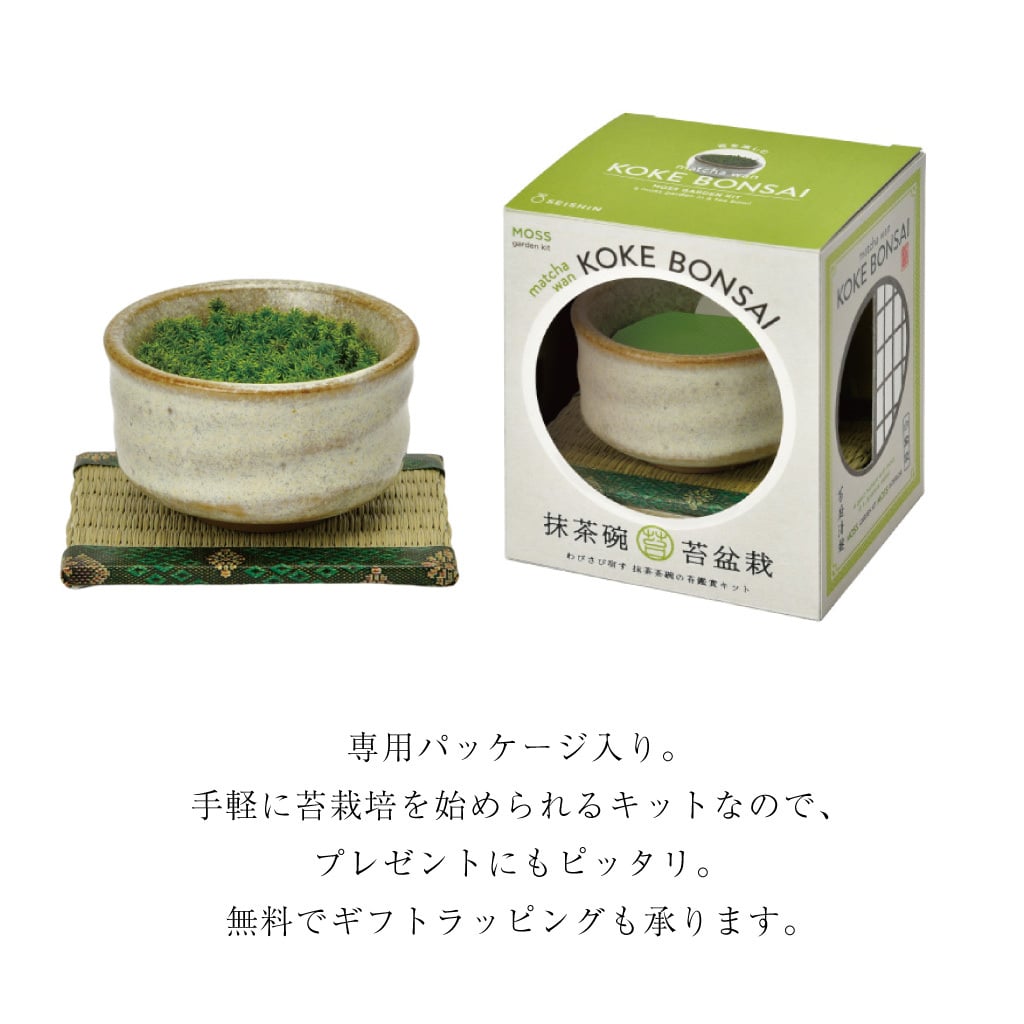 抹茶碗 苔栽培キット スナゴケ 植物 陶器 コケ グリーン スターターセット オブジェ 置物 おしゃれ インテリア 雑貨 ギフト プレゼント 男性 女性 父の日 母の日 敬老の日 誕生日 ラッピング対応 無料ラッピング